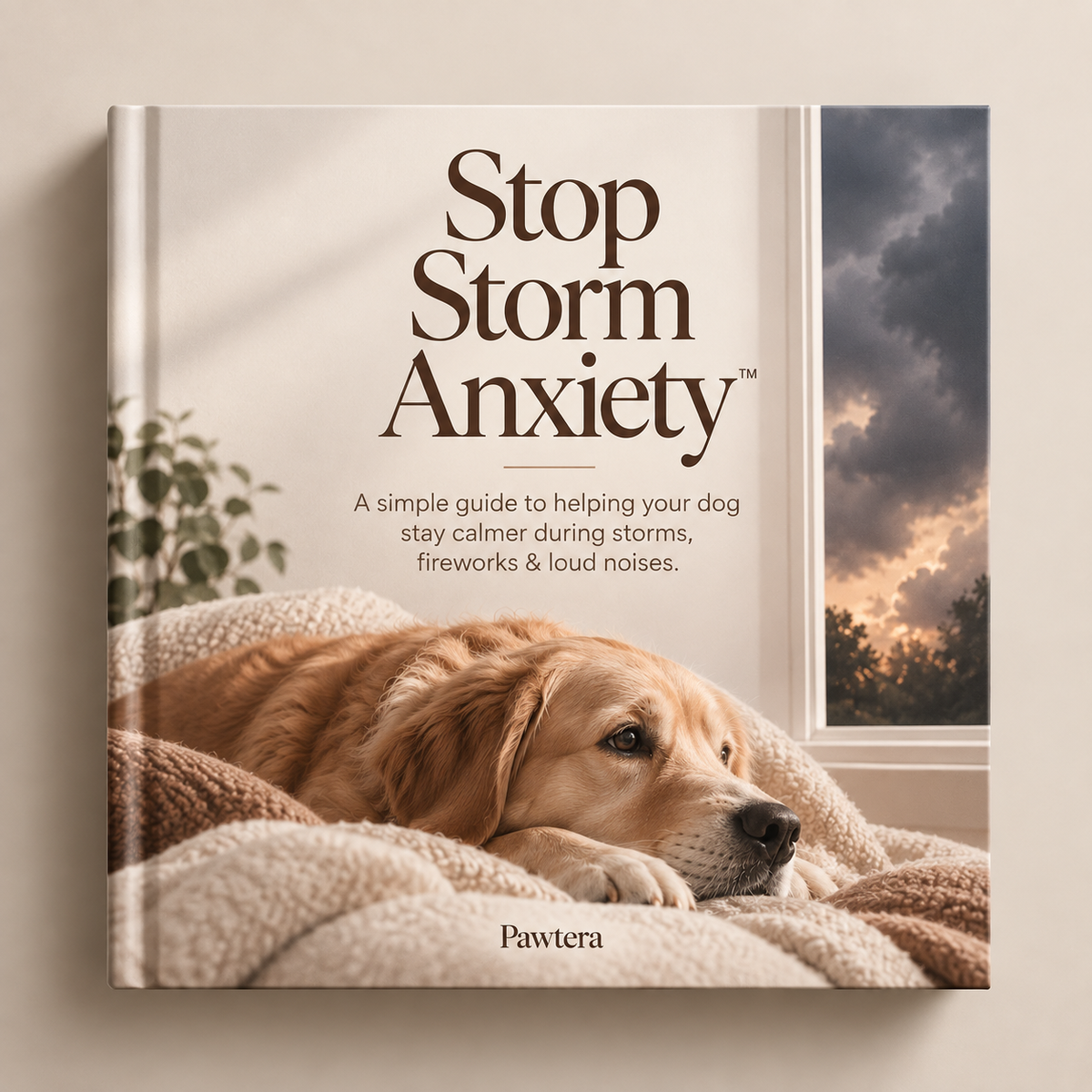 Stop Storm Anxiety™